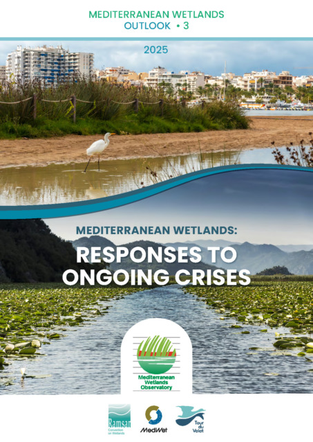 RETOURS DU TERRAIN TOUR DU VALAT / Printemps 2025