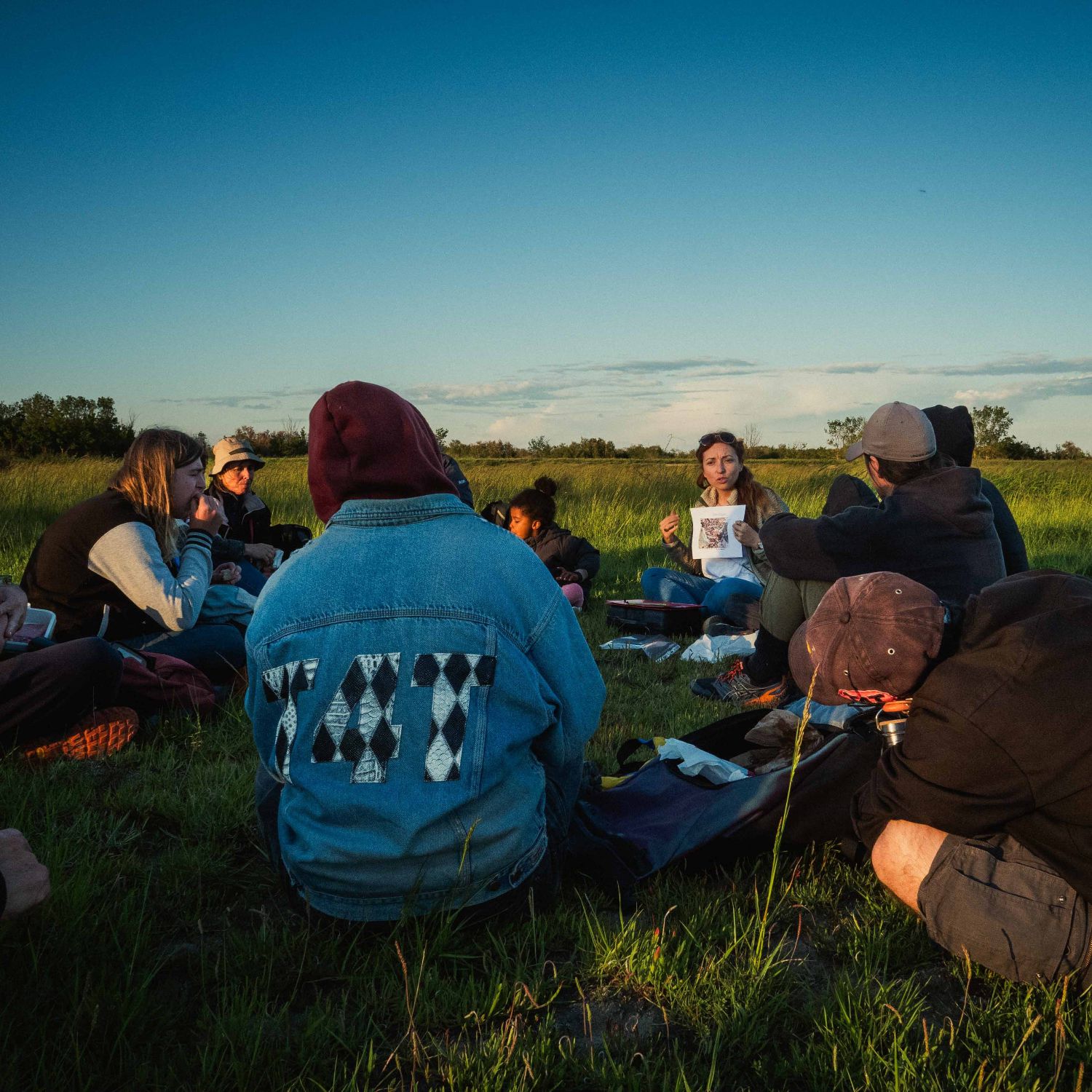 Image de présentation du festival de la Camargue
