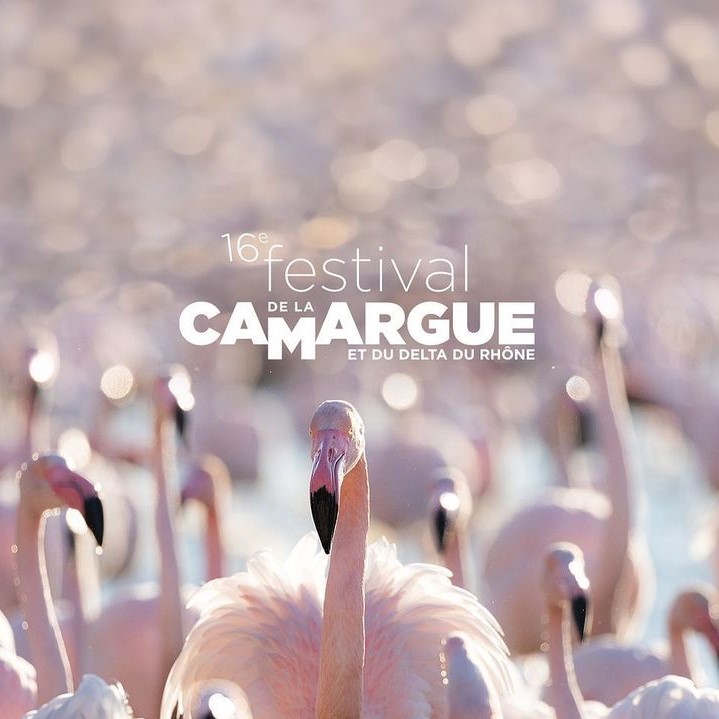 Image de présentation du festival de la Camargue